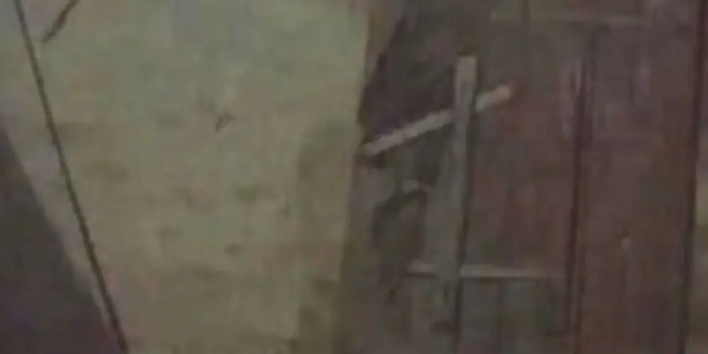 Imagem do grupo de WhatsApp friendship always