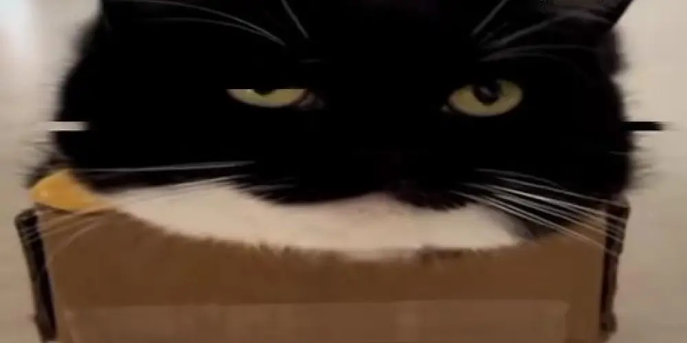 Imagem do grupo de WhatsApp friendship forever 😝