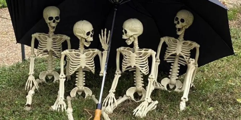 Imagem do grupo de WhatsApp friendzone