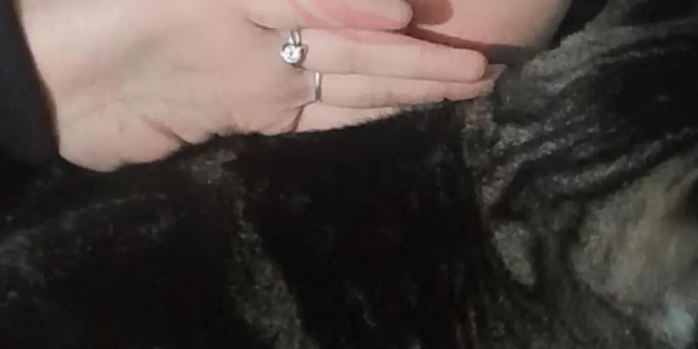 Imagem do grupo de WhatsApp FriendZone