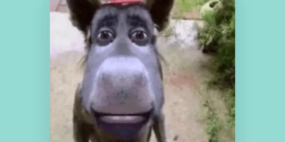 Imagem do grupo de WhatsApp Frifas