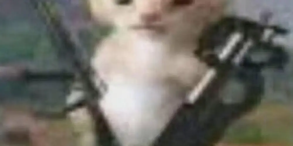 Imagem do grupo de WhatsApp frifrai di cada dia