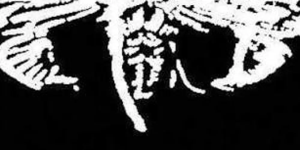 Imagem do grupo de WhatsApp Frigobar