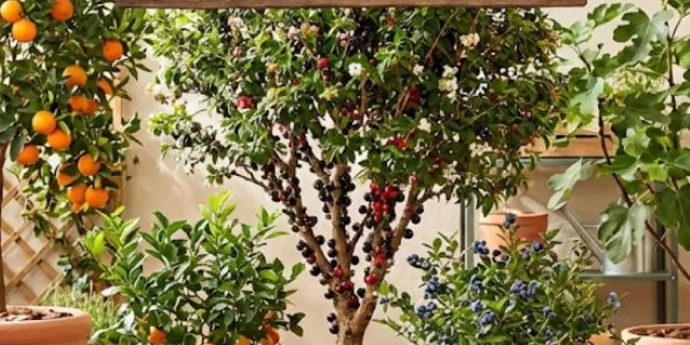Imagem do grupo de WhatsApp Frutíferas e Plantas em Geral - Cuidados e Variedades 🫐🍎🥭🌻🏡🪴