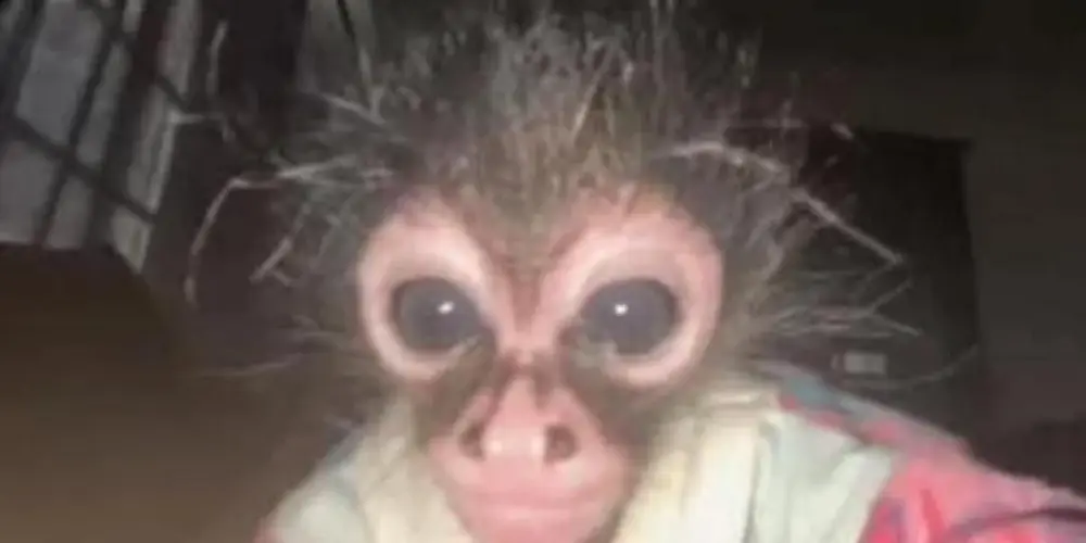 Imagem do grupo de WhatsApp Fudidos e unidos🔥💯