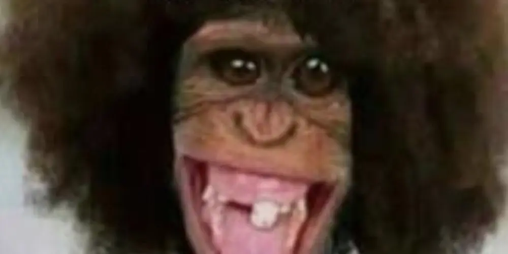 Imagem do grupo de WhatsApp Fugitivos do Caps