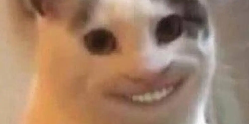 Imagem do grupo de WhatsApp Fugitivos do caps 😂🥊