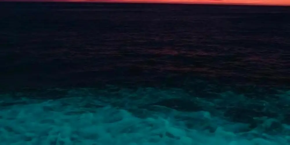 Imagem do grupo de WhatsApp Fulanos de tal🤨