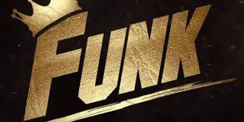 Imagem do grupo de WhatsApp FUNK BRASIL! 🎧🎶🇧🇷