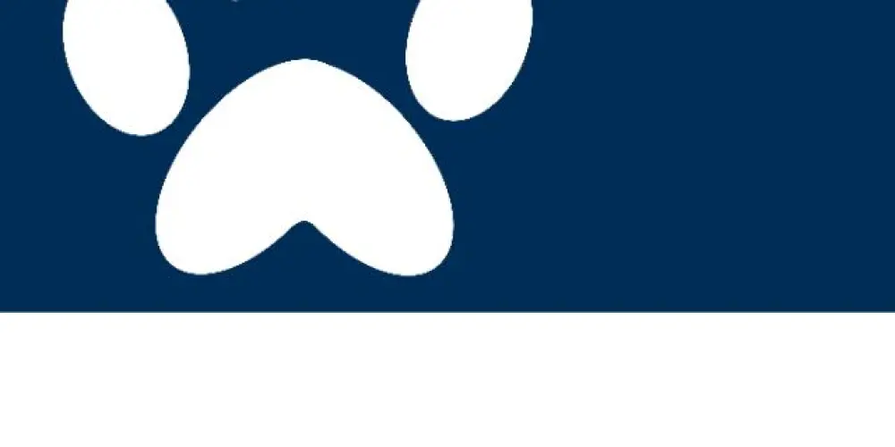 Imagem do grupo de WhatsApp FurNation