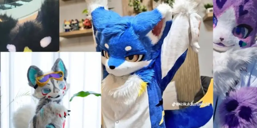 Imagem do grupo de WhatsApp ♡°.•Furry's City•.°◇