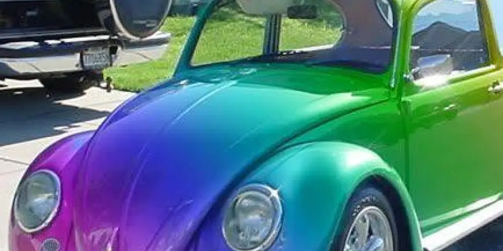 Imagem do grupo de WhatsApp Fusquinha das amizades