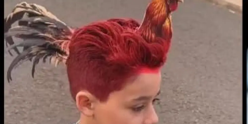 Imagem do grupo de WhatsApp Futuro do País