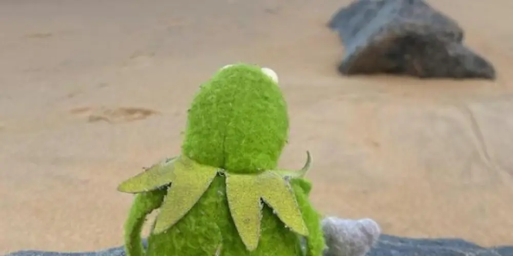 Imagem do grupo de WhatsApp Futuro melhores amigos!♥️🙏