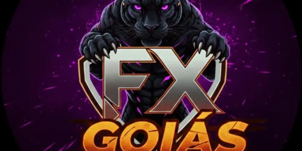 Imagem do grupo de WhatsApp FX  GOIÁS🇧🇷