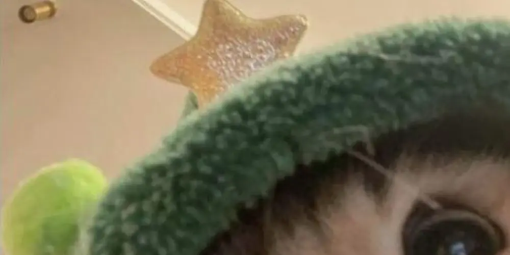 Imagem do grupo de WhatsApp Fy.garotas