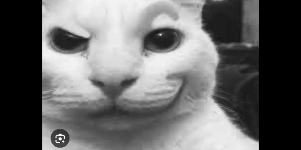 Imagem do grupo de WhatsApp Fznd amizades!!🤡