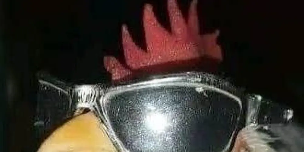 Imagem do grupo de WhatsApp Fznd amizades!!🫠