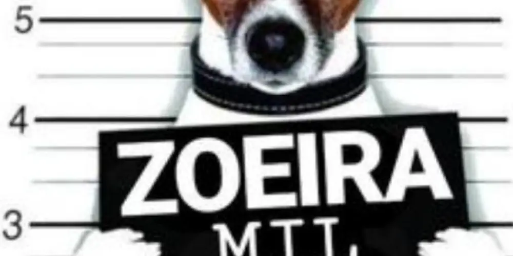 Imagem do grupo de WhatsApp ¤FZND AMIZADES¤👀