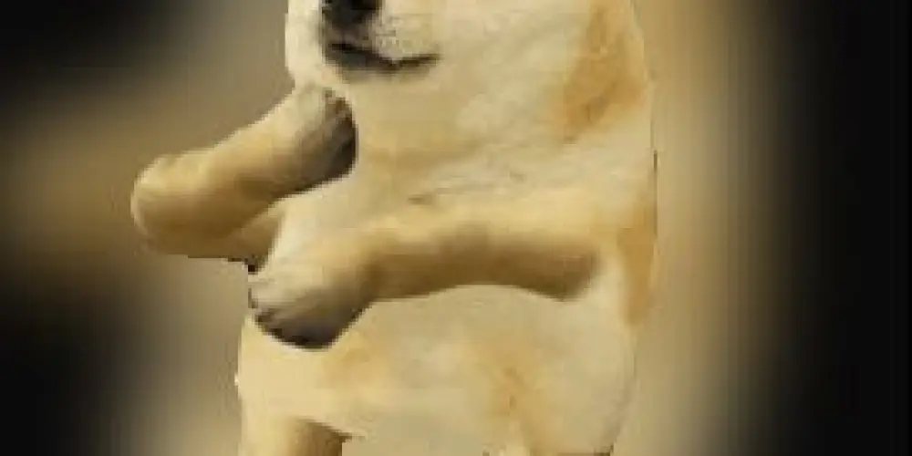 Imagem do grupo de WhatsApp fzr amizade 🤝🏻😎