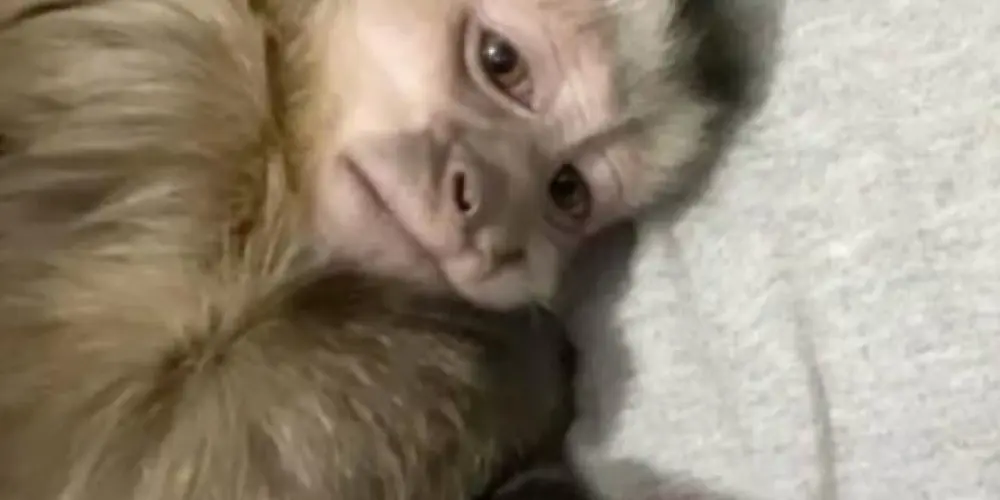 Imagem do grupo de WhatsApp ⚘ᯓ🍡┅𝘰𝘱𝘢... 𝒄𝒉𝒂𝒕 𝑣𝑒𝑟𝑠𝑜𝑟 ғɪɢᴜ┉⪩