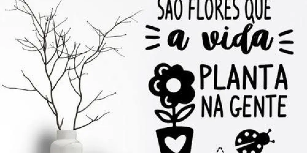 Imagem do grupo de WhatsApp Galera do Ceará