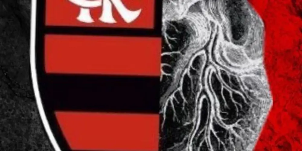 Imagem do grupo de WhatsApp GALERIA DO FLAMENGO❤️