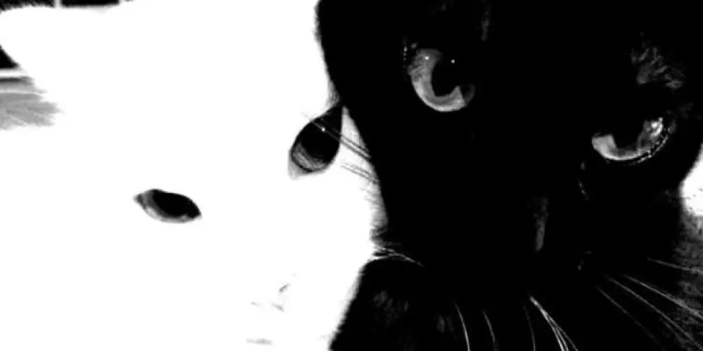 Imagem do grupo de WhatsApp Galerinha fd