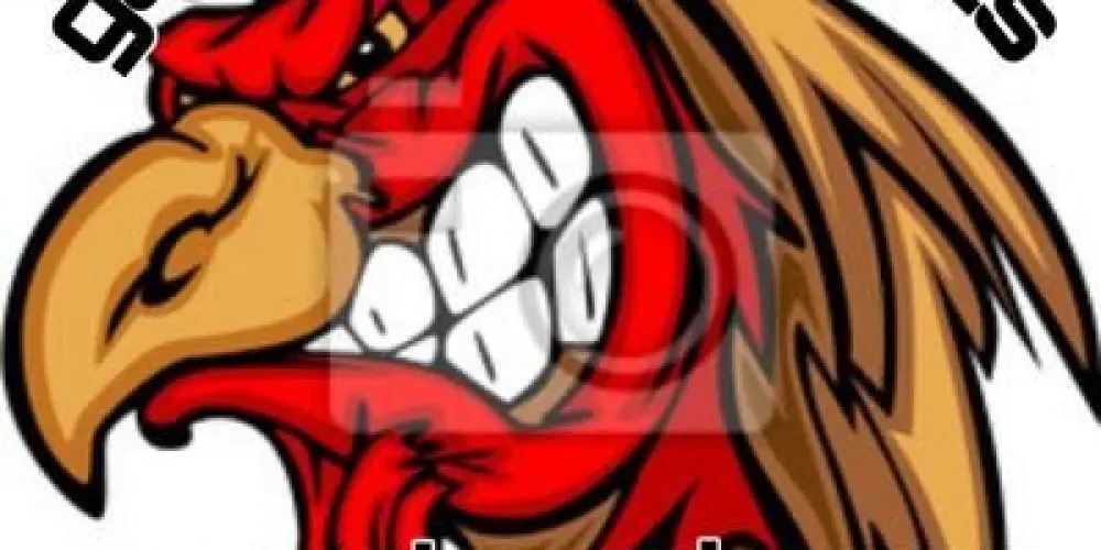 Imagem do grupo de WhatsApp Galistas Porto Alegre a serra gaúcha