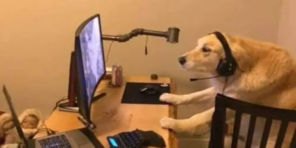 Imagem do grupo de WhatsApp 𝖑𝖊𝖌𝖊𝖓𝖉 𝓝𝖎𝖌𝖍𝖙 𝟚𝟘𝟝 games