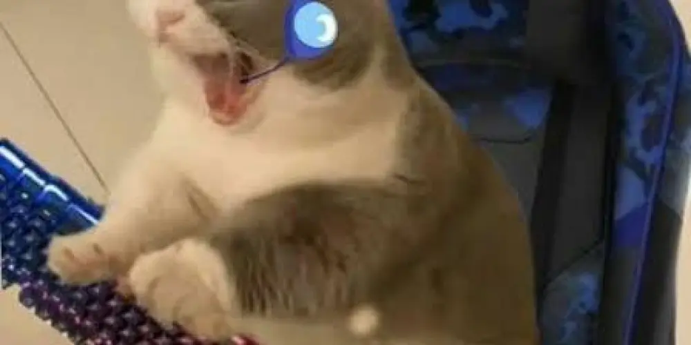 Imagem do grupo de WhatsApp Games e amizade🎮🤝