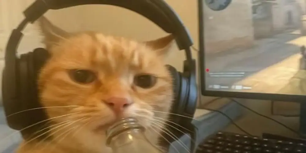 Imagem do grupo de WhatsApp ☆▪︎GAMES  PLAYERS  ▪︎☆