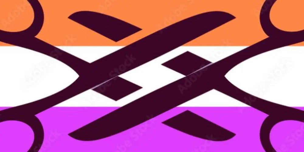 Imagem do grupo de WhatsApp GANG DAS MINAS 🐸🏳️‍🌈