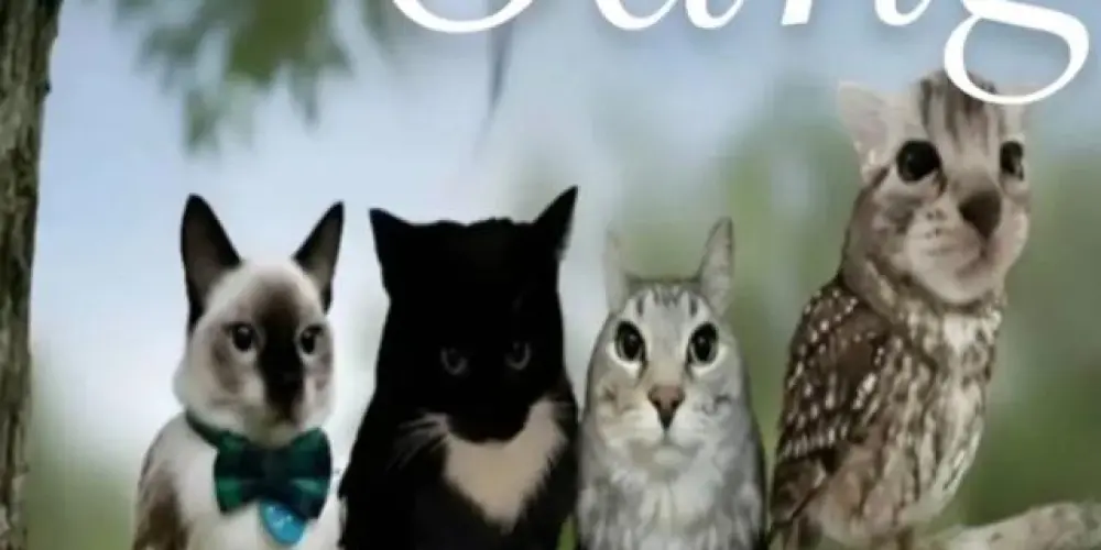 Imagem do grupo de WhatsApp Gangue