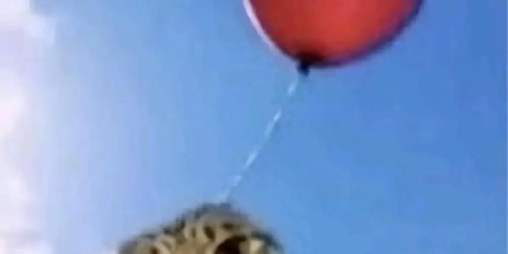 Imagem do grupo de WhatsApp Gangue dos Memes 🤣