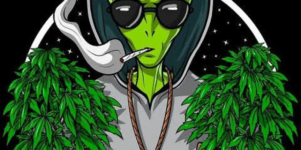 Imagem do grupo de WhatsApp 🌱Gardening🌱