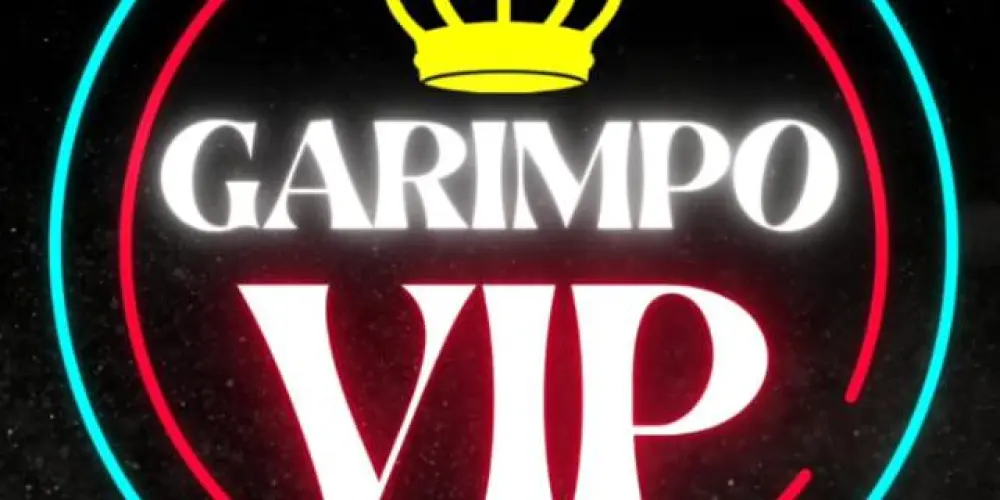 Imagem do grupo de WhatsApp Garimpo vip ✅  (025)