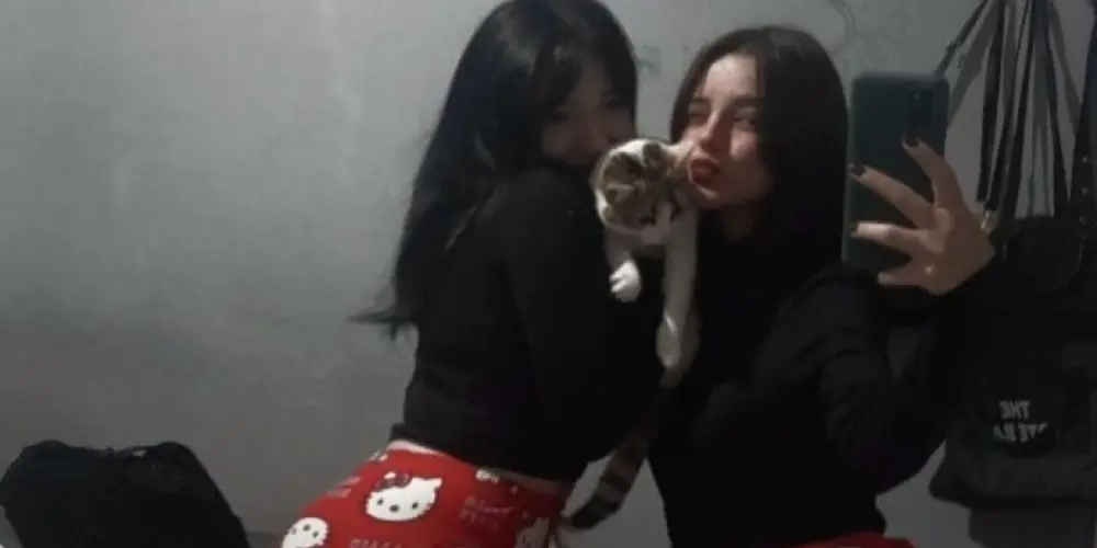 Imagem do grupo de WhatsApp Gatinhas e Gatinhos 🐈🐈‍⬛