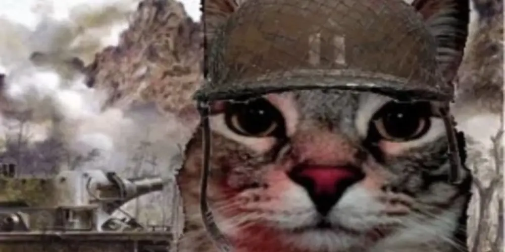 Imagem do grupo de WhatsApp Gatos