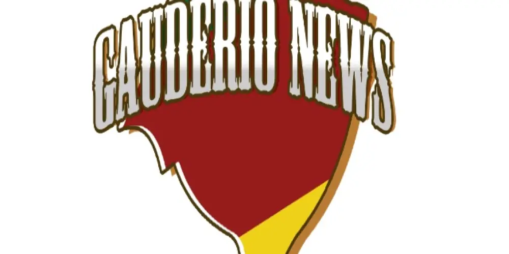 Imagem do grupo de WhatsApp Gaudério News - (Grupo 33)