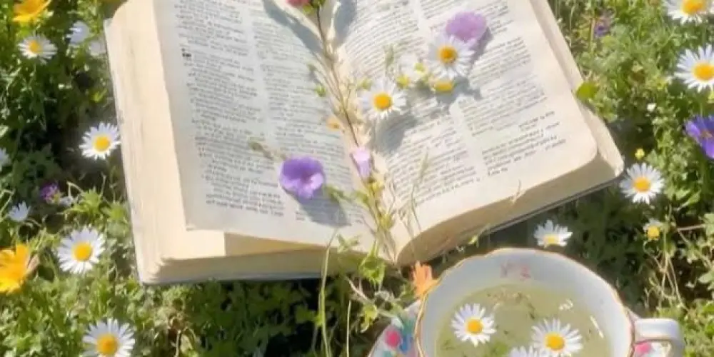 Imagem do grupo de WhatsApp ✝️ Geração Cristã ✝️