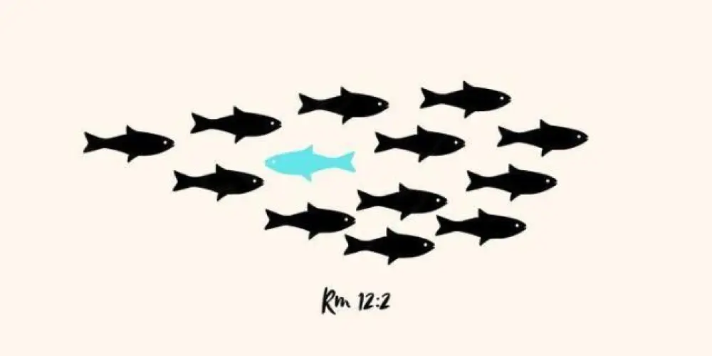 Imagem do grupo de WhatsApp Geração Eleita – Jovens Cristãos