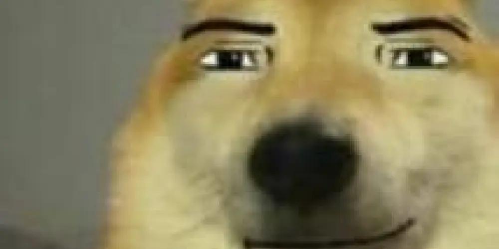 Imagem do grupo de WhatsApp GERAÇÕES 2.0