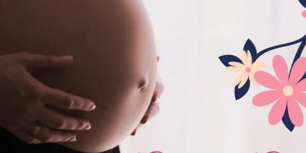 Imagem do grupo de WhatsApp GESTANTES E TENTANTES 2024 -2026❤️