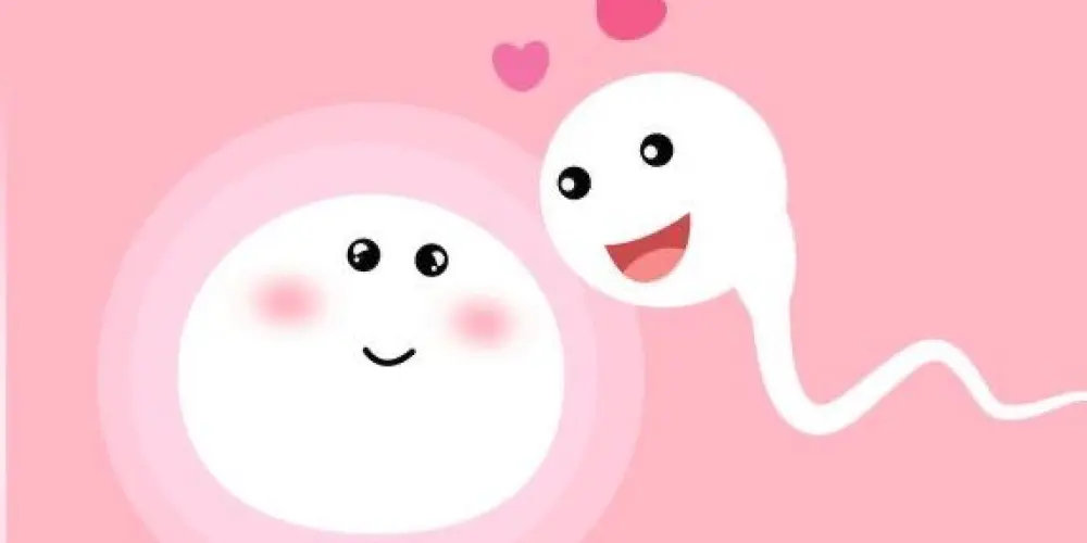 Imagem do grupo de WhatsApp GESTANTES & TENTANTES 🤍🤰🏻🌈