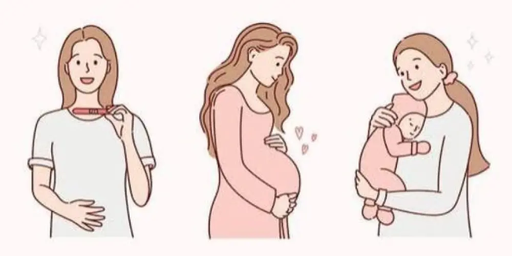 Imagem do grupo de WhatsApp Gestantes, tentantes e mamães ❤️🤞