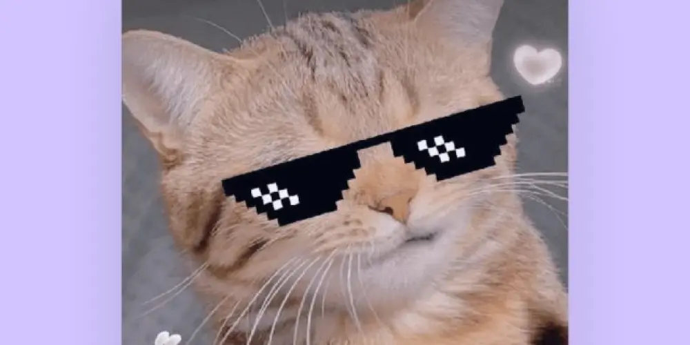 Imagem do grupo de WhatsApp Ghost ✓