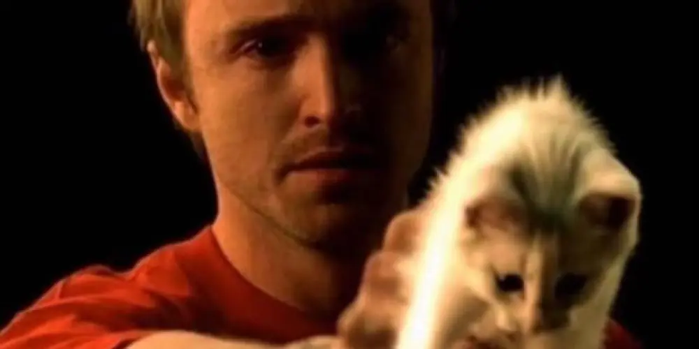 Imagem do grupo de WhatsApp 𝘯𝘰 ghosts 𝘩𝘦𝘳𝘦 😘