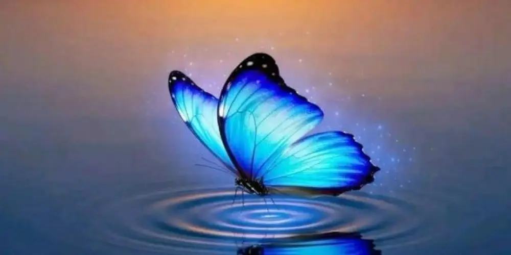 Imagem do grupo de WhatsApp GIFS , FIGURINHAS E  FRASES