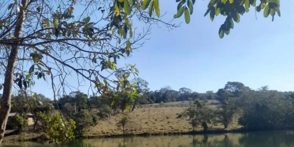 Imagem do grupo de WhatsApp girls and boy